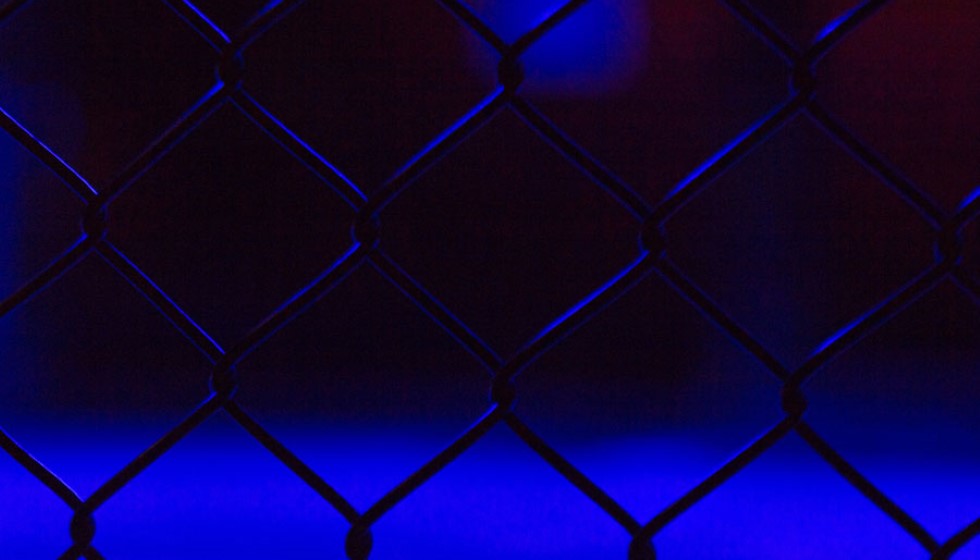 High-Stakes Civil Case: Nikita Hand Prevails Against Conor McGregor